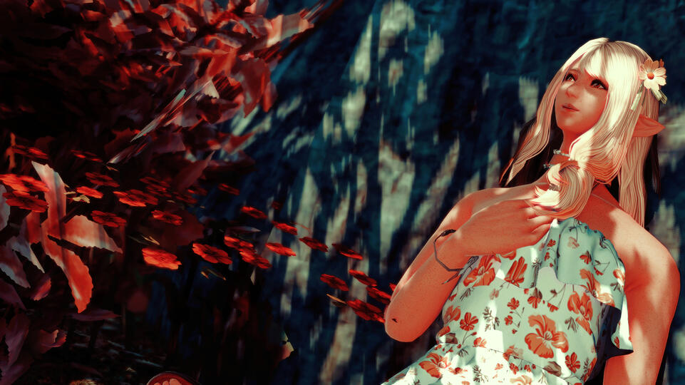 sunrise through the trees